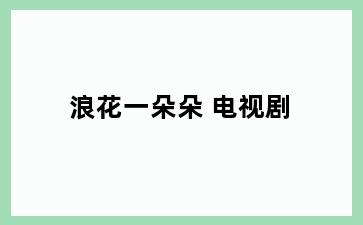 浪花一朵朵 电视剧